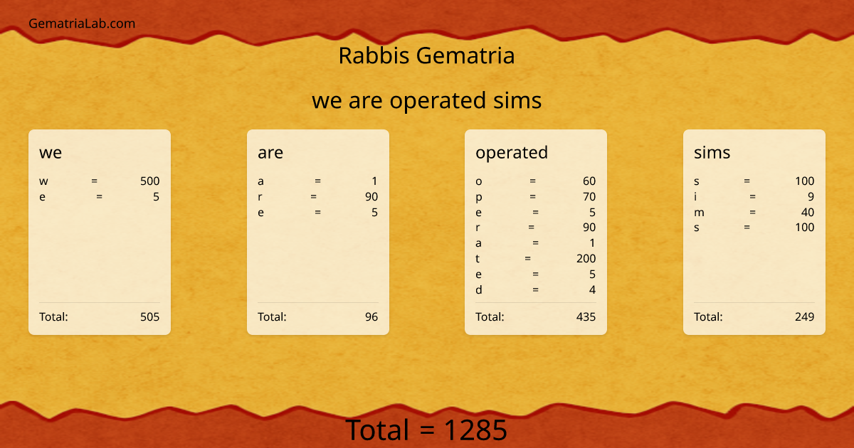 we are operated sims in rabbis Gematria